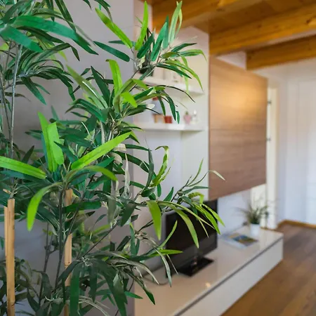 P&p Tiraboschi Apartman *