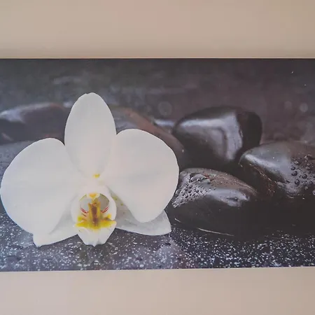 Lägenhet P&p Tiraboschi *