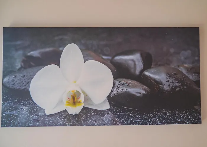 Lägenhet P&p Tiraboschi *